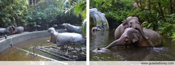 Jungle Cruise Segredo