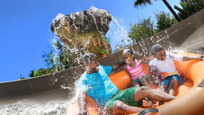 Disney's Typhoon Lagoon Water Park